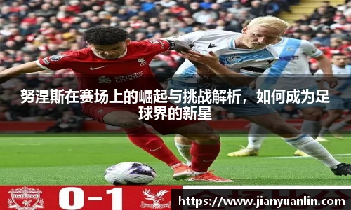 努涅斯在赛场上的崛起与挑战解析，如何成为足球界的新星